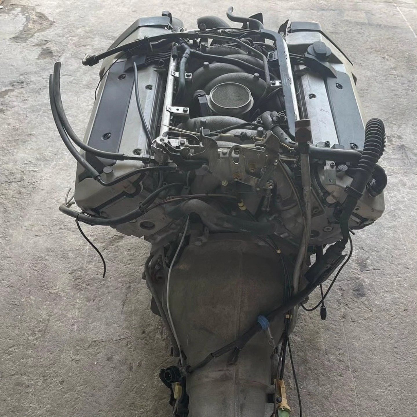 Mercedes-Benz W140 5.0L M119 Engine – Genuine Mercedes-Benz Parts