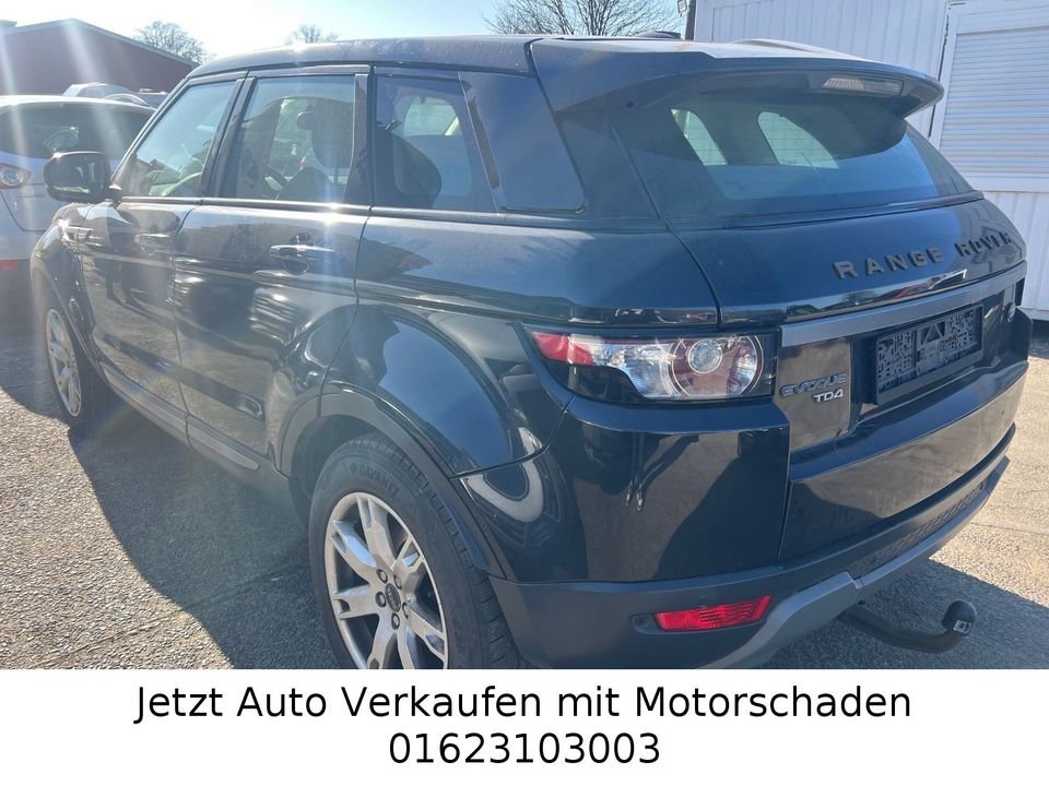 Land Rover Range Rover Evoque Pure R-Kamera Motorproblem