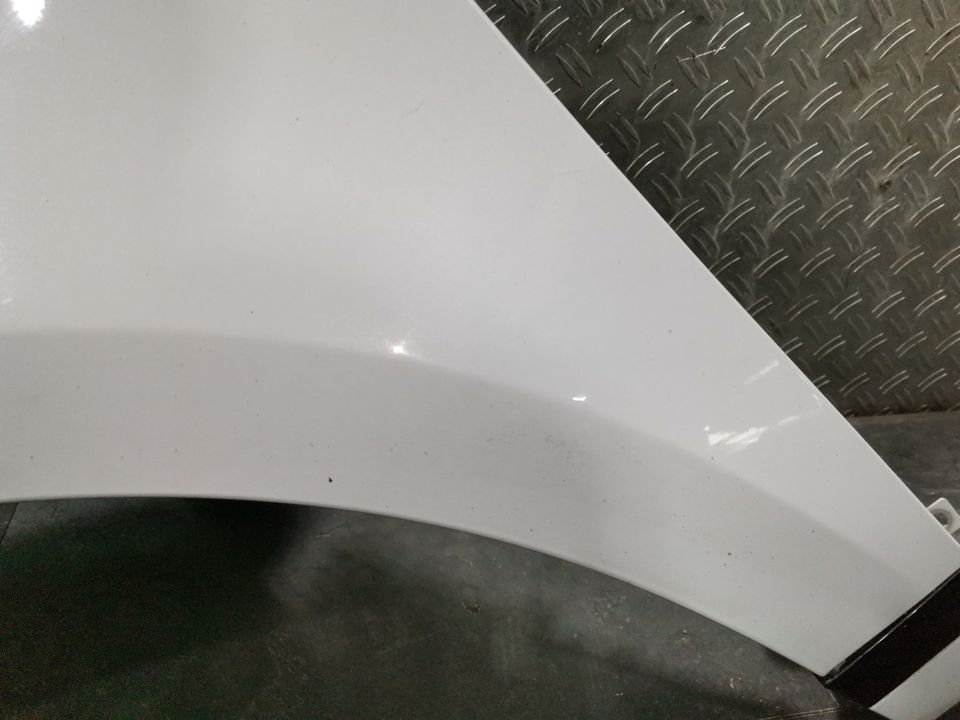 Range Rover Evoque L551 Kotflügel vorne links Yulong White 1AQ