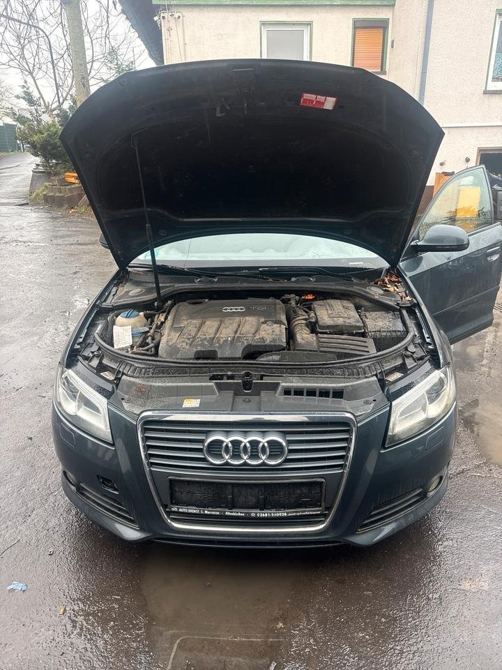 Audi A3 8P Facelift Front Komplett Scheinwerfer Motorhaube LZ7H