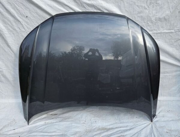 AUDI Q5 80A 2016-2020 Front Motorhaube Kotflügel Schloßträger LED