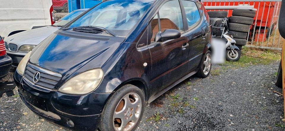 Autositze von Mercedes Vaneo (7 Sitzer)