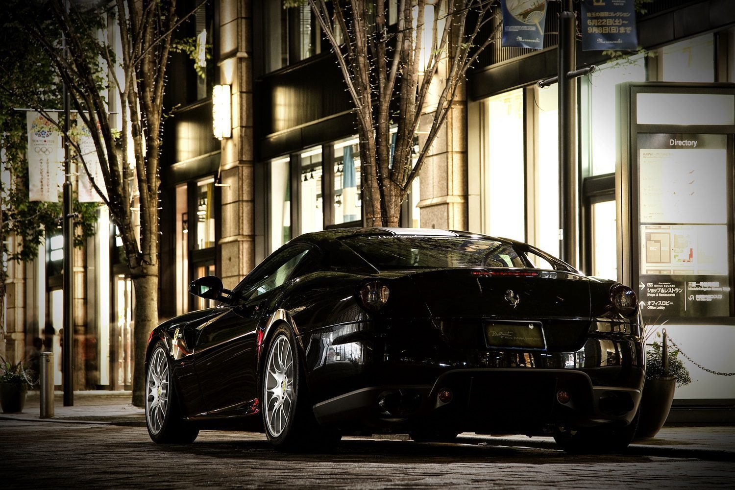 Brilliant Exhaust System for Ferrari 599 GTB & GTO