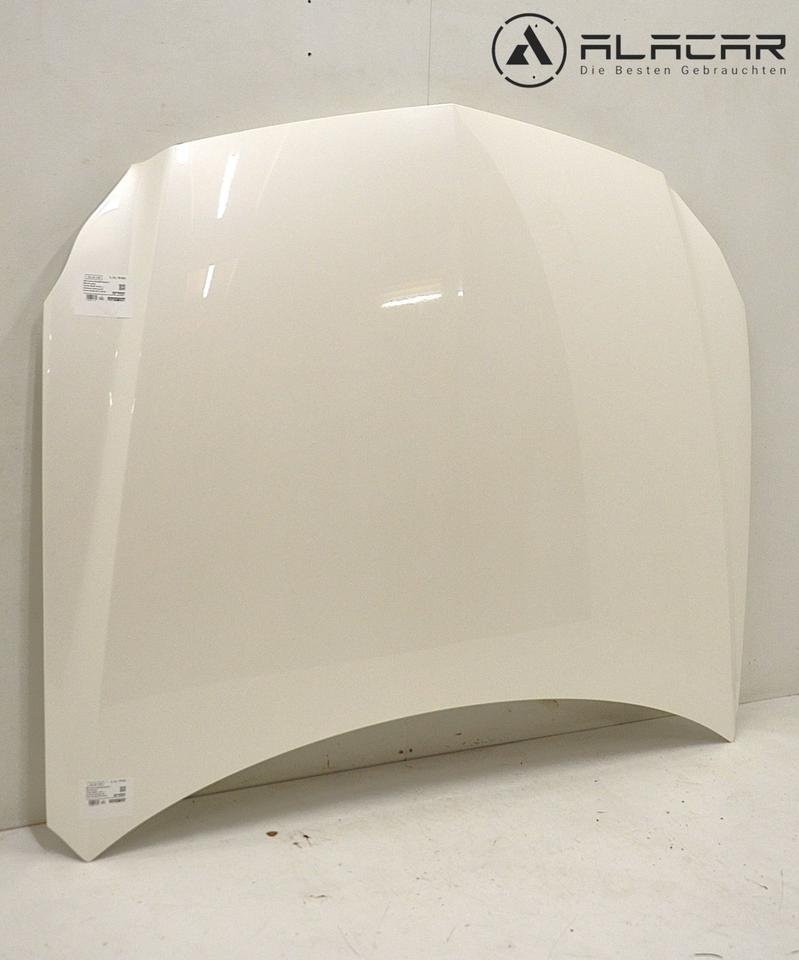 Mercedes CLS-klasse W218 C218 Motorhaube Haube W961