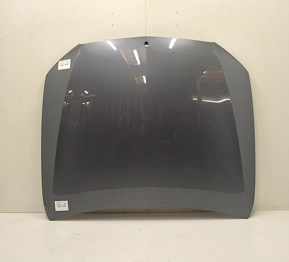 Mercedes E Klasse W213 Motorhaube Haube A2138800357 V077