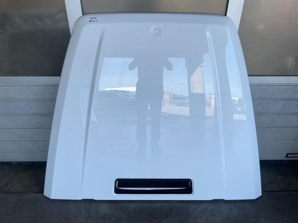 Mercedes G W463 W464 W465 Motorhaube Bonnet A4638802700