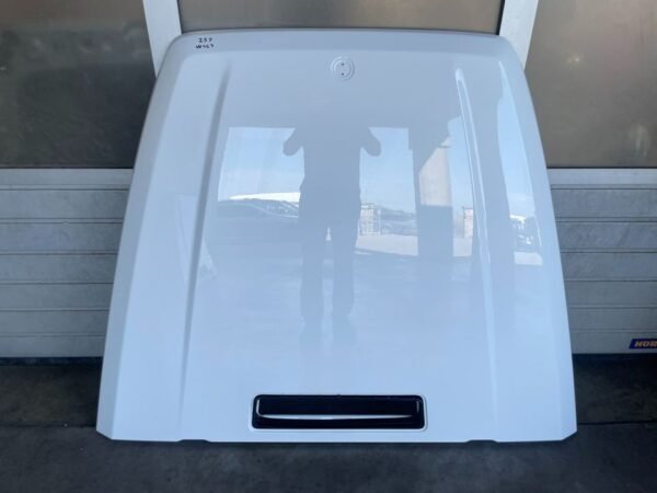 Mercedes G W463 W464 W465 Motorhaube Bonnet A4638802700