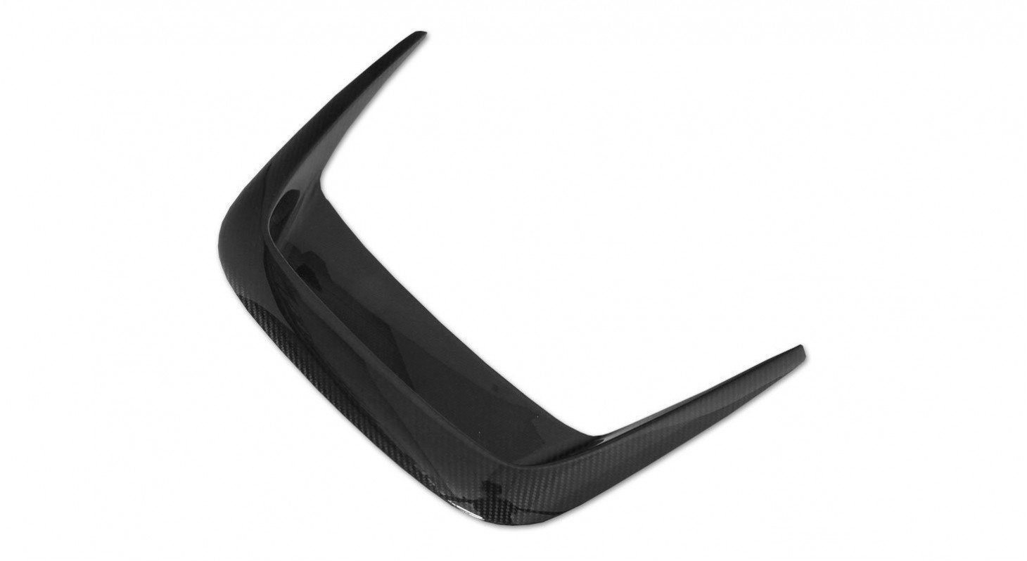 NOVITEC N-Largo Carbon Engine Bonnet Insert for Ferrari F12berlinetta