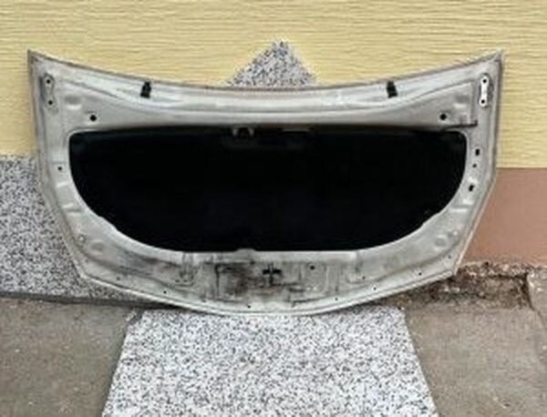 Toyota Prius Plus Motorhaube 2018 Facelift Taxi Fronthaube beige