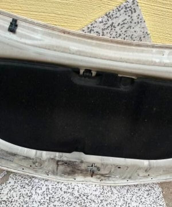 Toyota Prius Plus Motorhaube 2018 Facelift Taxi Fronthaube beige